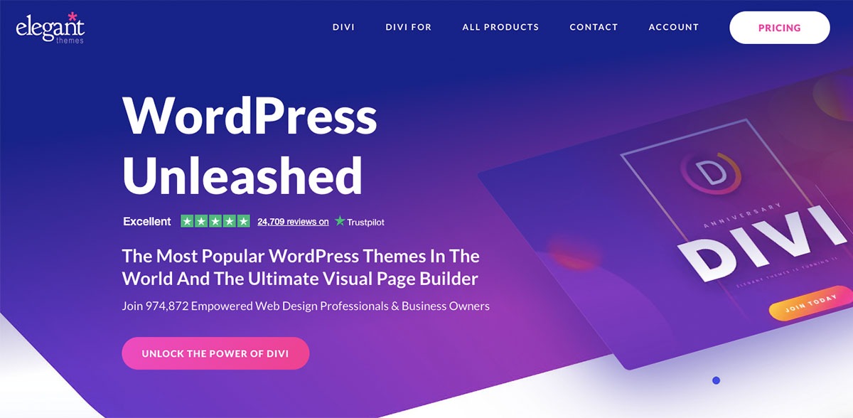 Divi Theme