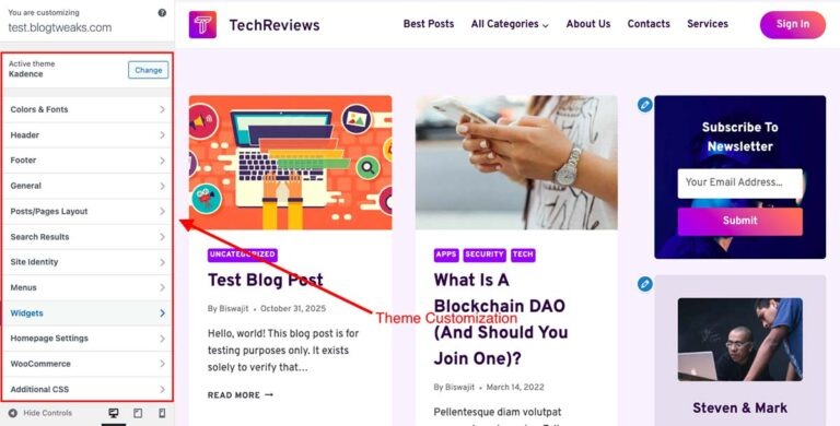 Theme Customization Kadence Theme